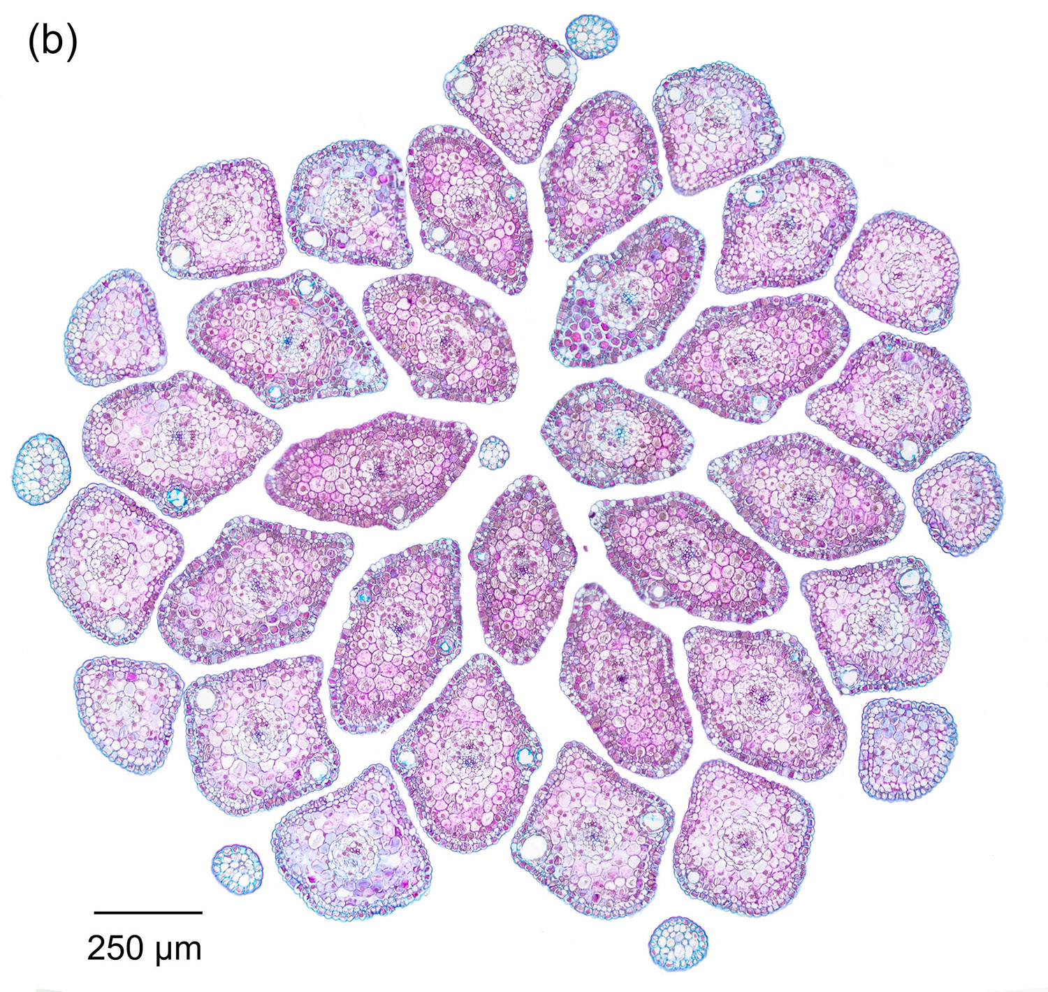 abb_4-1-b